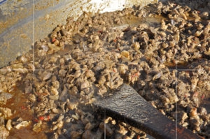 Фестивал на автентичната кухня "Кулинарен историк"