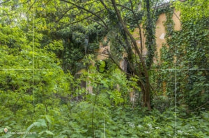 Сградата с котелното и банята обрасли в зеленина