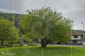 Добре поддържания двор на Суковски манастир &bdquo;Успение Богородично&ldquo;