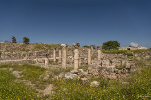 Цитаделата, Аман