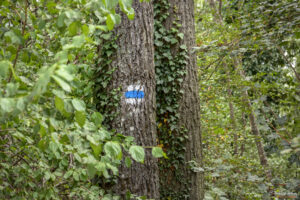 Маркировката по пътеката към скалите