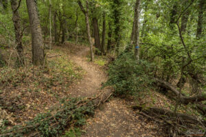 Пътеката към панорамната площадка Бакърлъка
