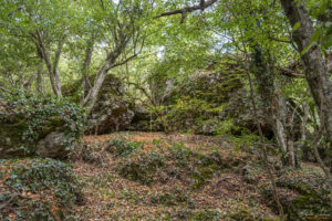 По пътеката към панорамната площадка