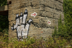 Маркировка по екопътеката към Бакърлъка