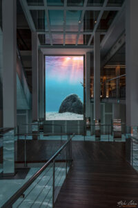 Аквариумът на Барселона