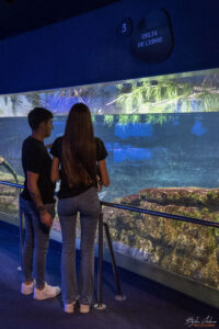 Аквариумът на Барселона - пресъздаване на различни хабитати