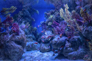 Аквариумът на Барселона