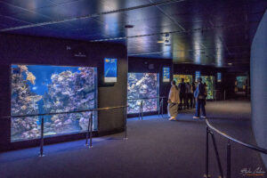 Аквариумът на Барселона