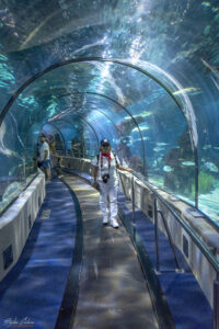 Аквариумът на Барселона - Подводния тунел