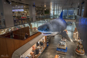 Аквариумът на Барселона - Сувенирен магазин и ресторант