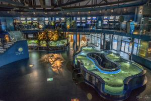 Аквариумът на Барселона