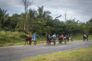 "Паяци" по Autopista Naciona