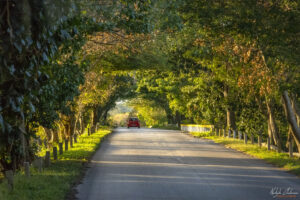 Някъде по пътищата на Куба - картина като от приказките