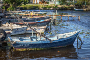 Залива на прасетата, Куба - рибарското пристанище в Playa Larga