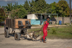 Залива на прасетата, Куба - град Playa Larga