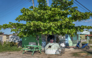 Залива на прасетата, Куба - бункер в град Playa Larga
