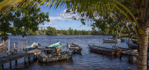 Залива на прасетата