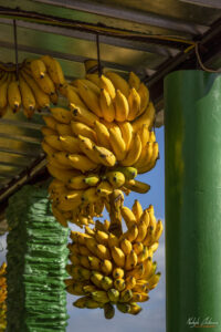 Бананите се продават директно на големи чепки