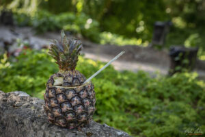 Традиционен начин на поднасяне на Пиня Колада в Куба