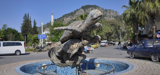 Символа на град Далян - костенурката Caretta caretta