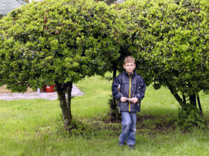 Паркът на Струга