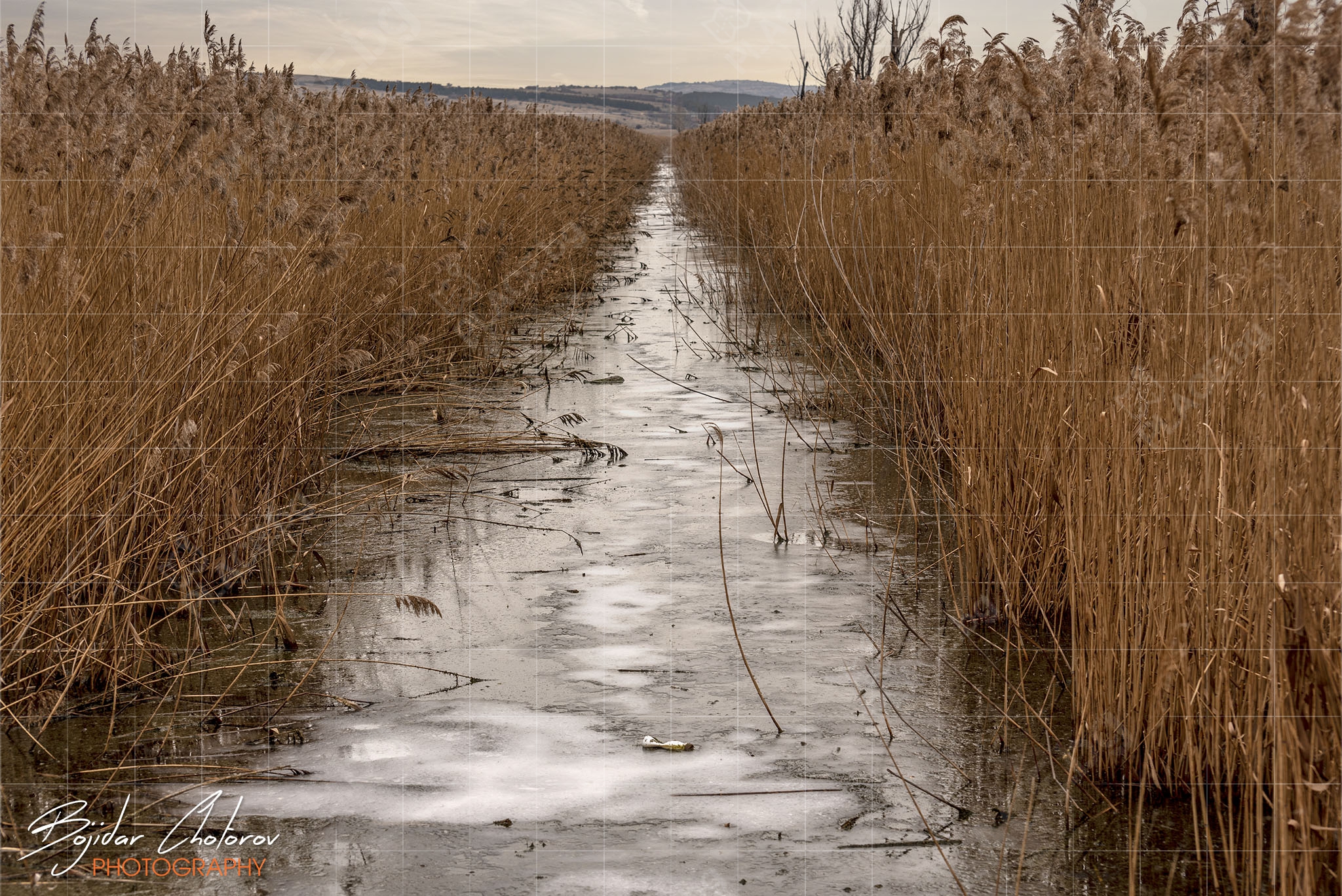 Драгоманско блато