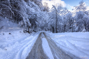 Пътя към манастира