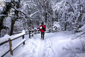 Пътеката към водопада