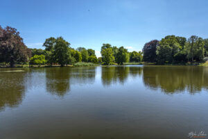 11. Новото кметство (Neue Rathaus)