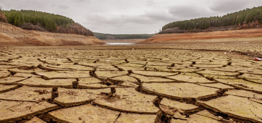 Пресъхналият язовир Студена