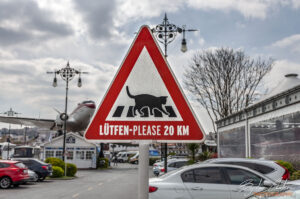 Знак, който може да видите единствено в Турция - "Пешеходна пътека за котки" с ограничение на скоростта 20 км/ч