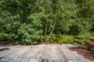 Тази гора навремето беше просеката на лятната ски писта на Витоша