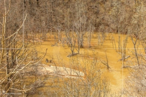 Заблатен микроязовир по поречието на река Ерма