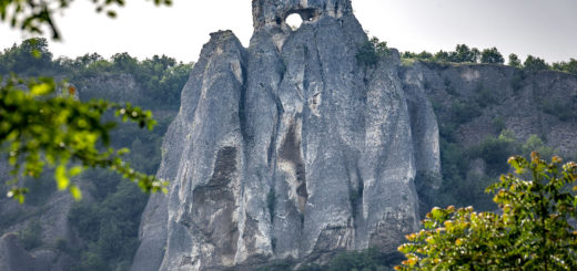 Провъртеника Карлуково