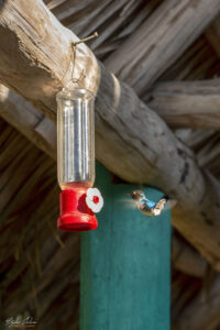 Къщата на колибритата - "Casa de los Colibr&iacute;s", Куба