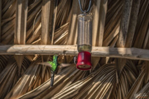 Casa de los Colibr&iacute;s, Куба