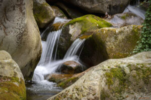 Малко "скокче" по река Чавча след Костенския водопад