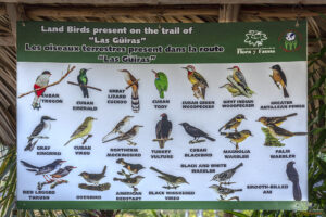 Информационни табла за срещаните в защитената зона видове птици