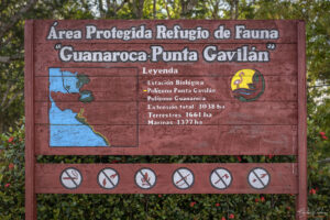 Защитена местност лагуна Guanaroca