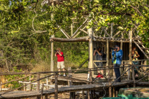 Борба за най-добра гледна точка на площадката за наблюдение на лагуната