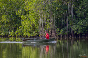 Местен рибар проверява капаните за Крабове в лагуна Guanaroca