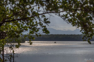 Лагуна Guanaroca по изгрев
