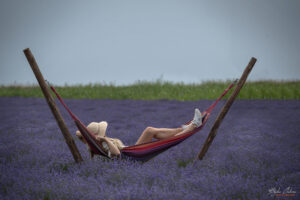 Lavender World предлагат възможност за релакс в лавандуловото поле