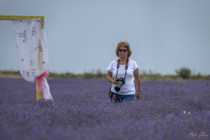 Фотосесия в Lavender World