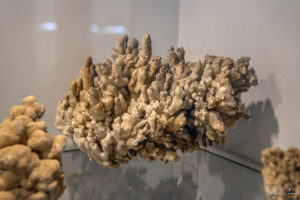 Секция Петрография в Музея на Родопския карст