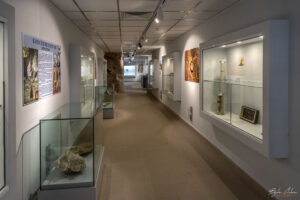 Секция Биоспелеология в Музея на Родопския карст в Чепеларе