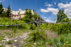 Един от подходите към изоставеният национален плувен комплекс "Червено знаме"