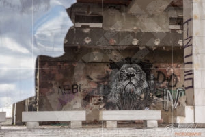 Графити в изоставеният национален плувен комплекс "Червено знаме"