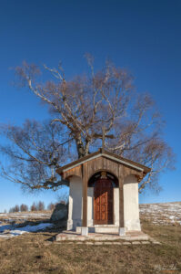 Параклис Свети Киприян, Плана