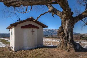 Параклис Свети Киприян, Плана